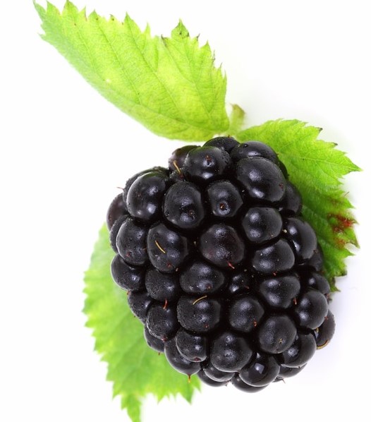 Brombeerfruchtaufstrich