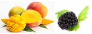 Duo aus Brombeere mit Mango